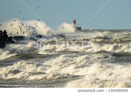 Storm waves crashing at Liepaja harbor gate breakwater in the Baltic Sea with seabirds in flight 136406060