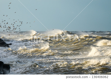 Powerful storm waves crashing near Liepaja harbor breakwater with flying seagulls, Baltic Sea view 136406062