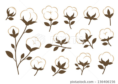 Cotton plants set. Elegant vector floral element perfect for eco designs and botanical compositions 136406156