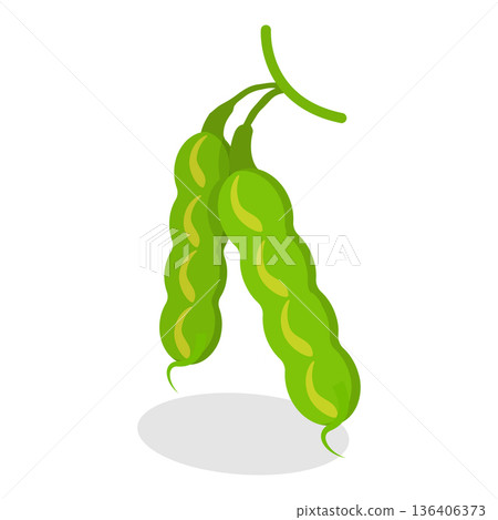 3D Isometric Flat Vector Set of Protein Food, Fresh Soybeans Straight From Nature. Item 4 3D Isometric Flat Vector Set of Protein Food, Fresh Soybeans Straight From Nature. Item 4 136406373