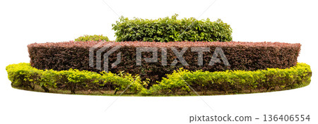 The arrangement shows various types of bushes and shrubs in different shapes and sizes. This design is suitable for landscaping projects or garden layouts The arrangement shows various types of bushes and shrubs in different shapes and sizes. This design is suitable for landscaping projects or garden layouts 136406554