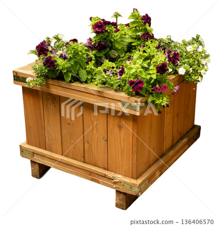 A wooden planter box stands filled with colorful flowers. The box shows a simple design with wooden slats. The flowers include green leaves and various blooms A wooden planter box stands filled with colorful flowers. The box shows a simple design with wooden slats. The flowers include green leaves and various blooms 136406570