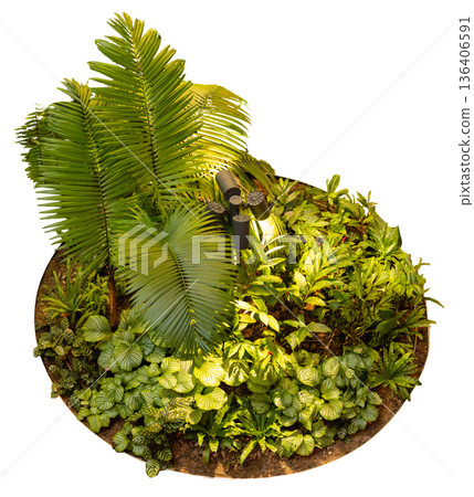 A garden scene shows various green plants grouped in a circular layout. The setup features a garden light placed among the foliage. Sunlight enhances the vibrant look of the plants A garden scene shows various green plants grouped in a circular layout. The setup features a garden light placed among the foliage. Sunlight enhances the vibrant look of the plants 136406591