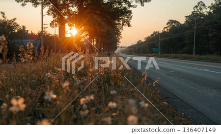 Sunrise Shining on a Rural Road With Flowers Along the Roadside in the Early Morning 136407149