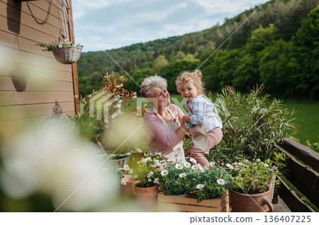 Senior grandmother with small granddaughter gardening during spring season. Senior grandmother with small granddaughter gardening during spring season. 136407225