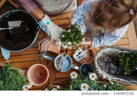 High angle view of grandmother with small granddaughter gardening during spring season. High angle view of grandmother with small granddaughter gardening during spring season. 136407226