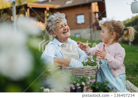 Senior grandmother with small granddaughter gardening during spring season. Senior grandmother with small granddaughter gardening during spring season. 136407234