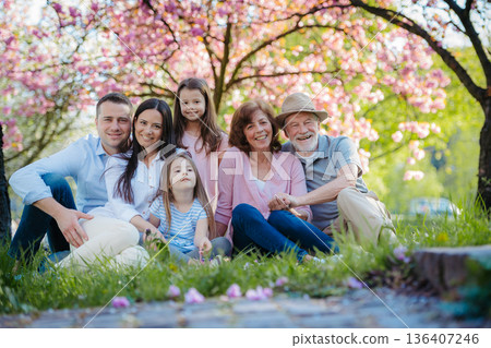 Three generation family sitting outside in spring nature. 136407246