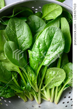 Close up of just washed fresh green spinach leaves Close up of just washed fresh green spinach leaves 136407410