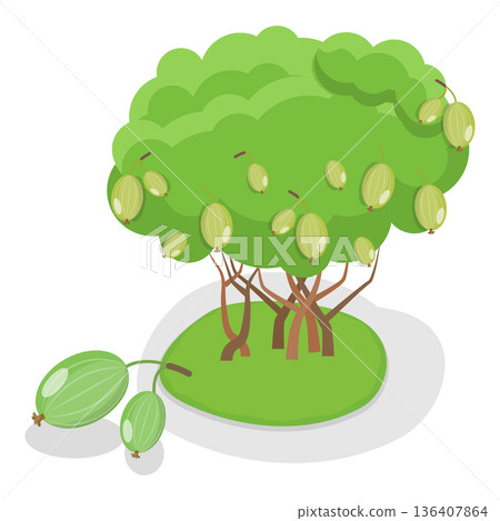 3D Isometric Flat  Illustration of Organic Fruits and Berries. Item 2 136407864