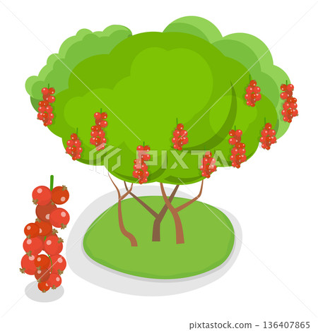3D Isometric Flat  Illustration of Organic Fruits and Berries. Item 1 136407865
