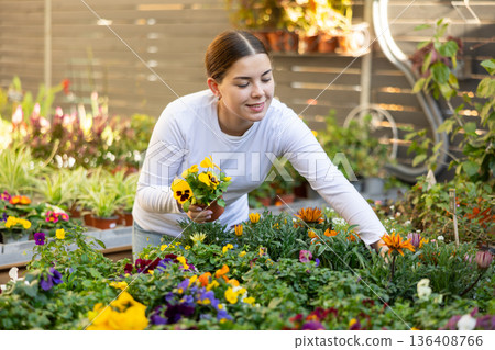 Female customer choosing potted viola in container garden shop Female customer choosing potted viola in container garden shop 136408766