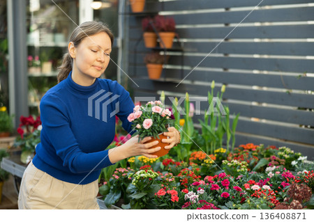Female customer choosing potted moss rose in container garden shop Female customer choosing potted moss rose in container garden shop 136408871