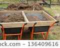 Rich organic soil, pine peat and compost on garden wheelbarrows for growing seedlings and reforestation 136409616