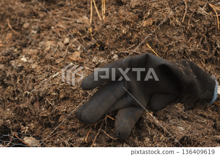 Horizontal shot of work gloves in an orchard on compost for sustainable fertilisation in gardens and farms. Horizontal shot of work gloves in an orchard on compost for sustainable fertilisation in gardens and farms. 136409619
