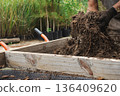 Worker sifting soil and compost for reforestation efforts, preparing land for new tree growth 136409620