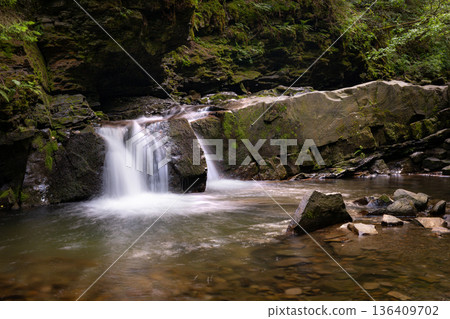 Small Forest Waterfall with Clear Stream and Mossy Rocks Small Forest Waterfall with Clear Stream and Mossy Rocks 136409702