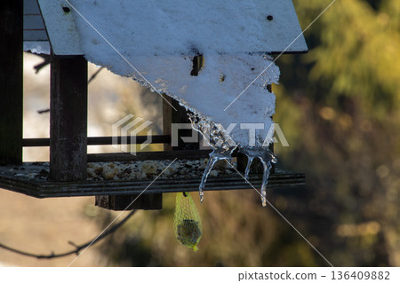 Melting ice on the snow-capped birdhouse Melting ice on the snow-capped birdhouse 136409882
