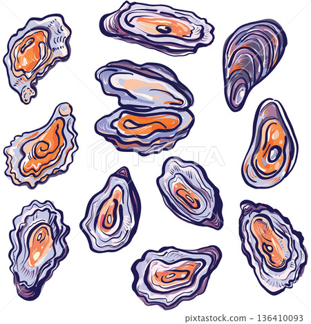 Colorful Sketch Oyster Collection in Decorative Vector Style Colorful Sketch Oyster Collection in Decorative Vector Style 136410093