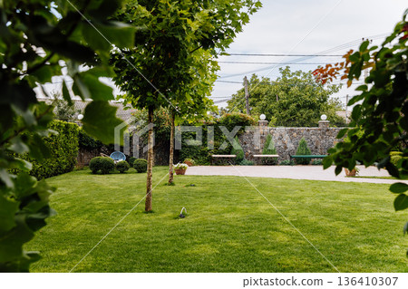 Green backyard lawn with trees, patio benches and stone fence in landscaped garden Green backyard lawn with trees, patio benches and stone fence in landscaped garden 136410307