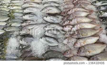 Close packed fish layers showing texture freshness indicators and high volume wet market seafood operations. Close packed fish layers showing texture freshness indicators and high volume wet market seafood operations. 136410406