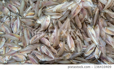 Small whole fish stacked neatly emphasizing raw seafood presentation protein source and traditional wet market trade scene. Small whole fish stacked neatly emphasizing raw seafood presentation protein source and traditional wet market trade scene. 136410409