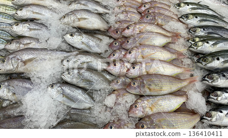Dense grouping of assorted fish highlighting biodiversity abundance and unprocessed marine food resources. Seafood concept. Dense grouping of assorted fish highlighting biodiversity abundance and unprocessed marine food resources. Seafood concept. 136410411