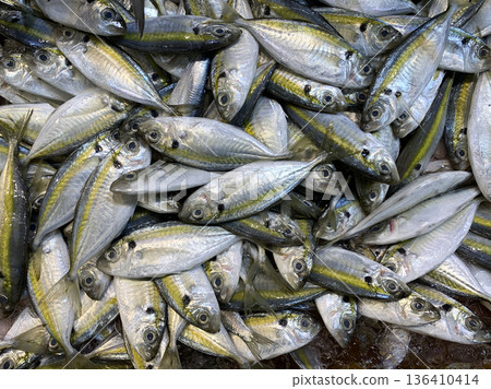 Mixed fish species in a heap demonstrating catch diversity seasonal availability and raw seafood condition. Mixed fish species in a heap demonstrating catch diversity seasonal availability and raw seafood condition. 136410414