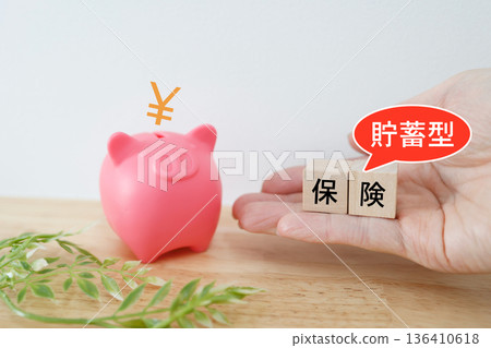 Image of savings insurance. Piggy bank and insurance blocks. Image of savings insurance. Piggy bank and insurance blocks. 136410618