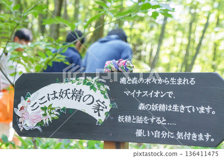 森林裡豎立著一塊寫著「仙女屋」的牌子 136411475