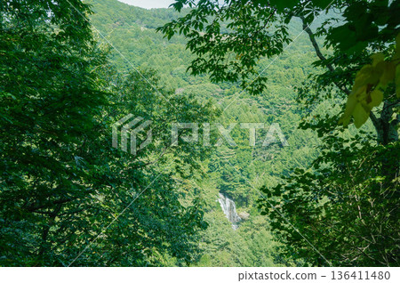 Beautiful waterfall scenery in a lush forest Beautiful waterfall scenery in a lush forest 136411480