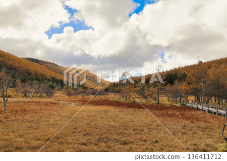 [Flat Rate] Autumn foliage scenery at Mt. Nyugasa (Nyugasa Marsh / October) 136411712