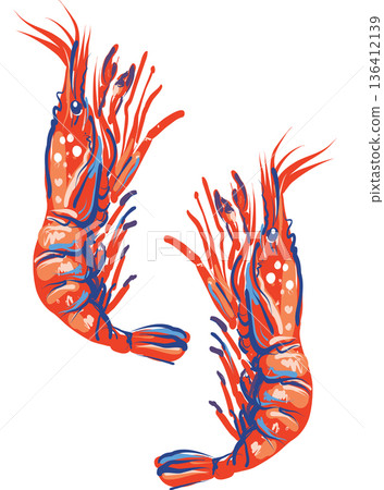 Expressive shrimp illustration isolated on white background Expressive shrimp illustration isolated on white background 136412139