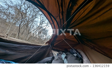 View of the forest sky from inside the hammock tent. Sleeping space. View of the forest sky from inside the hammock tent. Sleeping space. 136412159