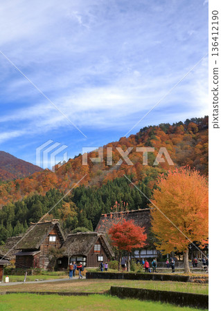 [Flat Rate] Autumn Foliage Shirakawa-go Gassho-style Village (Shirakawa Village, Gifu Prefecture) 136412190