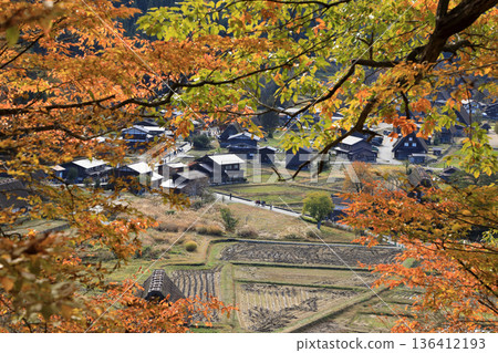 [Flat Rate] Autumn Foliage Shirakawa-go Gassho-style Village (Shirakawa Village, Gifu Prefecture) 136412193