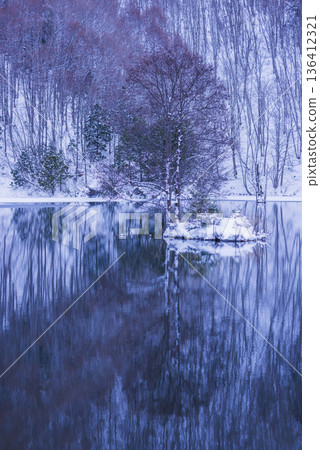 Trees reflected on the lake surface 136412321