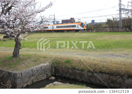 近鐵奈良線的近鐵特快列車駛過奈良的平城宮遺址，映入眼簾的是盛開的櫻花。 136412519