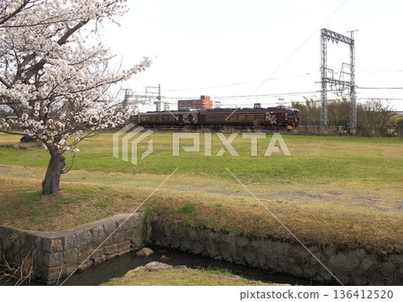 近鐵奈良線的「青吉觀光特快」列車經過奈良的平城宮遺址，此時櫻花正值盛開。 136412520