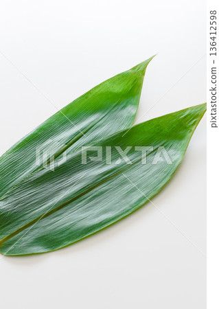 白色背景上的竹葉 白色背景上的竹葉 136412598