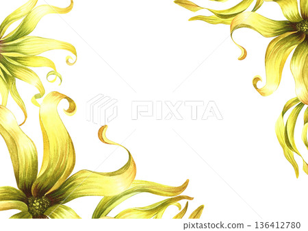 Frame with ylang-ylang flowers. Hand-drawn watercolor illustration. Border with exotic fragrant yellow flowers. For packaging, greeting and invitation cards, labels, and more. Frame with ylang-ylang flowers. Hand-drawn watercolor illustration. Border with exotic fragrant yellow flowers. For packaging, greeting and invitation cards, labels, and more. 136412780