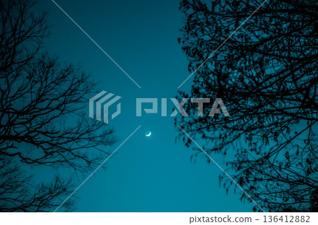 Moon and Night Sky 136412882