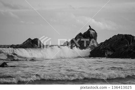 海鳥棲息在被巨浪拍打的岩石上，海岸風光 136413025