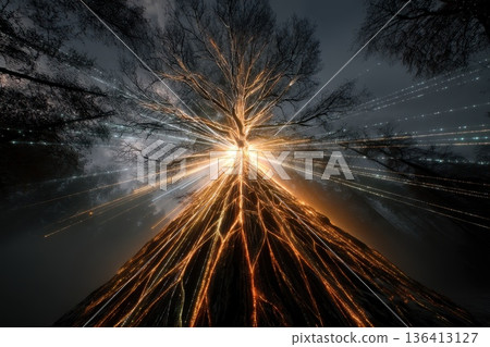 Abstract Digital Tree of Light Beams Illustrating Financial Concepts and Data Visualization Abstract Digital Tree of Light Beams Illustrating Financial Concepts and Data Visualization 136413127