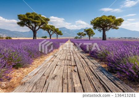 Wide Wooden Table Surrounded by Lavender Fields Under a Blue Sky with Mountains in Background Wide Wooden Table Surrounded by Lavender Fields Under a Blue Sky with Mountains in Background 136413281