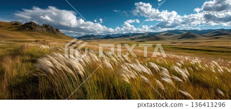 Golden Wheat Field Gently Swaying in the Breeze Under a Clear Blue Sky Golden Wheat Field Gently Swaying in the Breeze Under a Clear Blue Sky 136413296