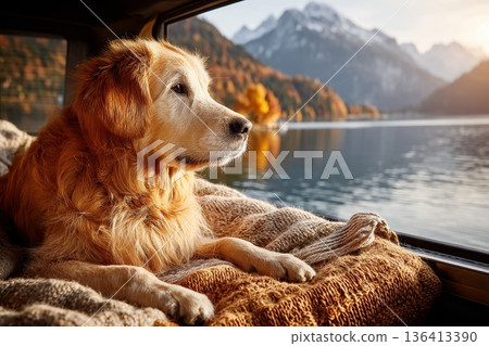 Scenic Road Trip Adventure with Pets in a Car and Open Trunk by the Beautiful Lake Scenic Road Trip Adventure with Pets in a Car and Open Trunk by the Beautiful Lake 136413390