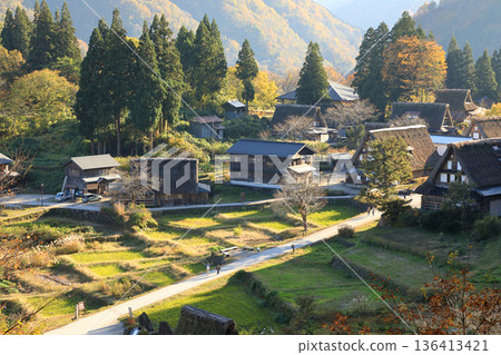 [Flat Rate] Autumn Foliage in Gokayama Ainokura Gassho Village (Nanto City, Toyama Prefecture) 136413421