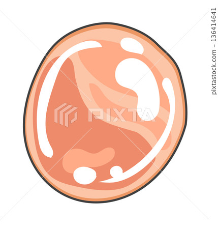 烤豬肉片 136414641