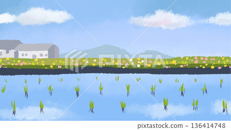 158_Rice paddy 158_Rice paddy 136414748